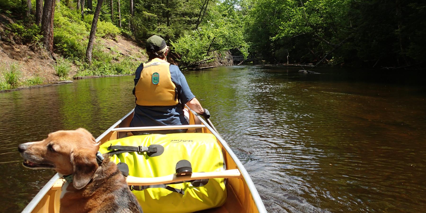 canoeing on Fish Creek with dog and pack in the boat