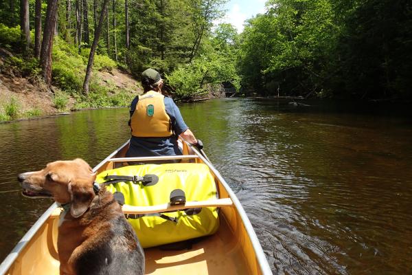canoeing on Fish Creek with dog and pack in the boat