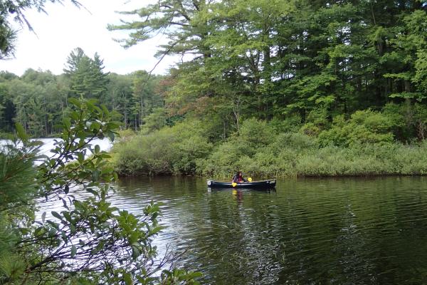 solo canoe on Floodwood Pond