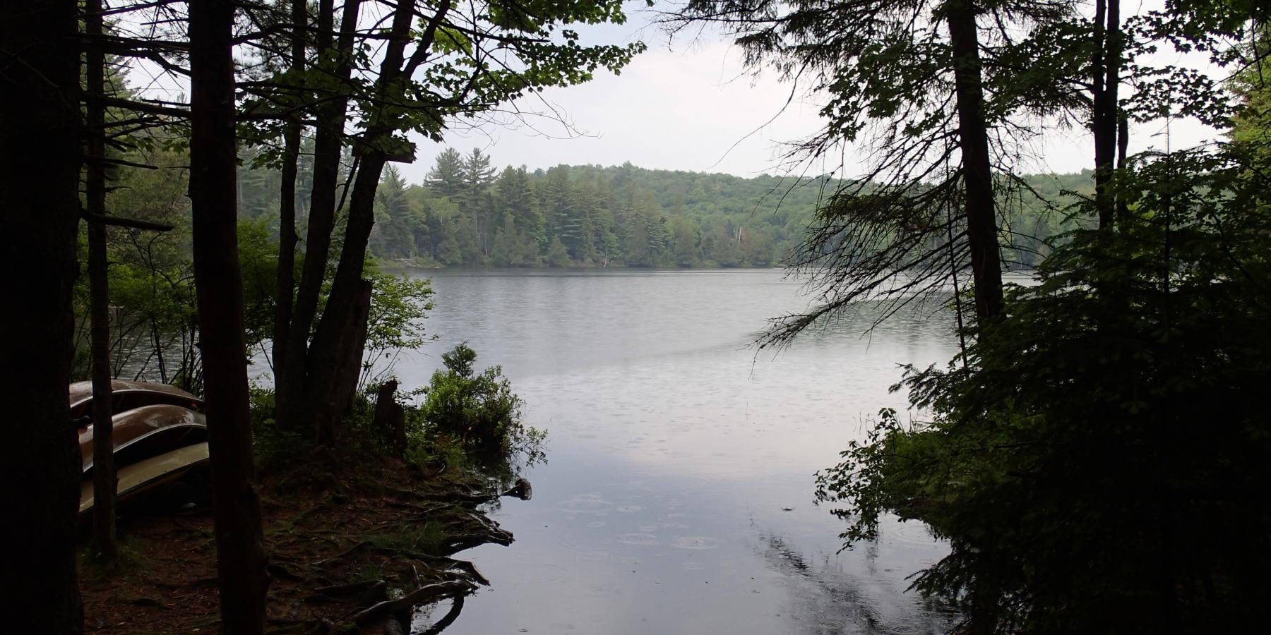 Rainy Day on Long Pond