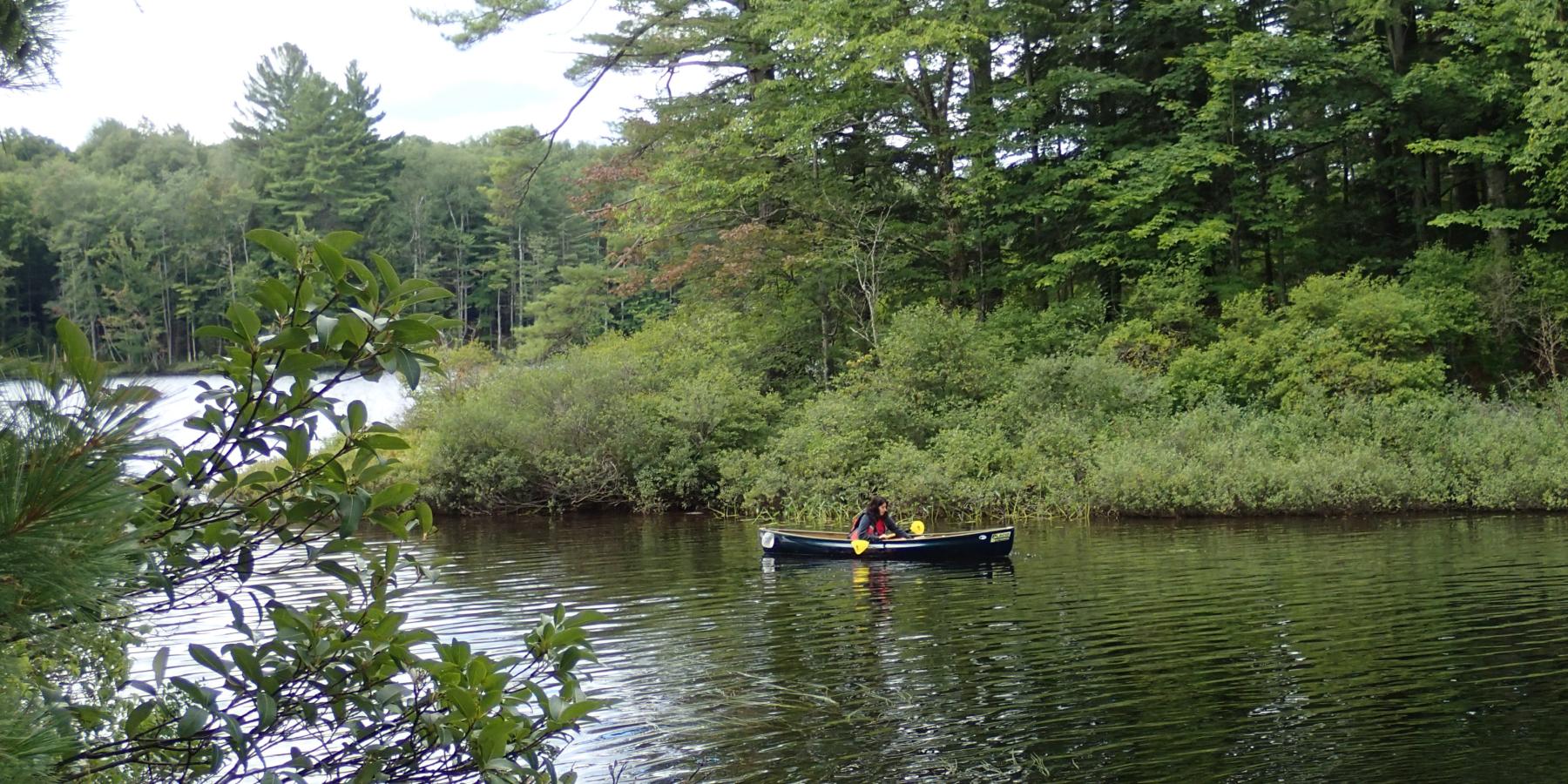 solo canoe on Floodwood Pond