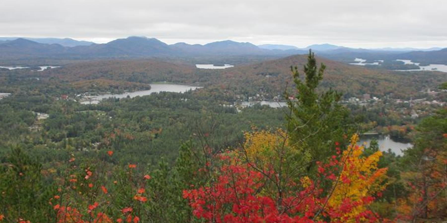 autumn view