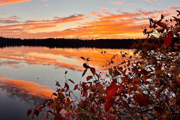 Sunset on Square Pond