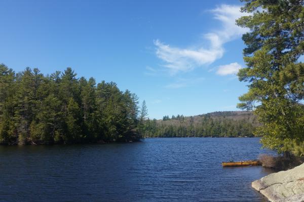 canoe secured to a tree on lake