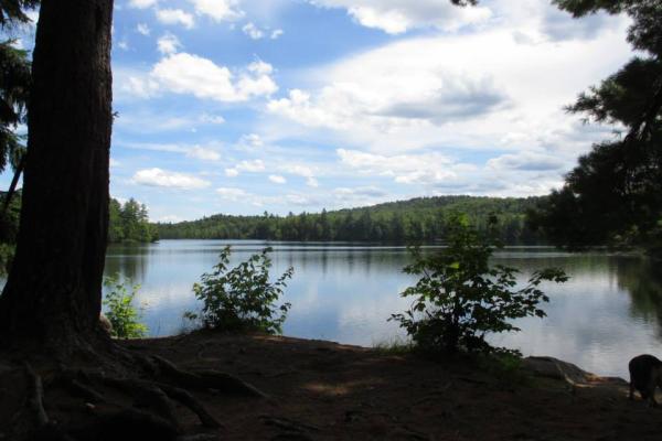 campsite on slang pond with dog