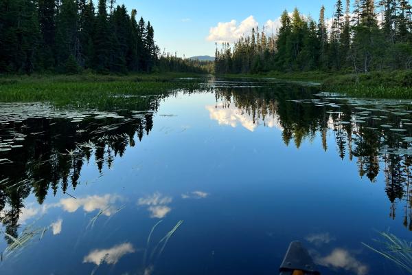 Canoeing on river