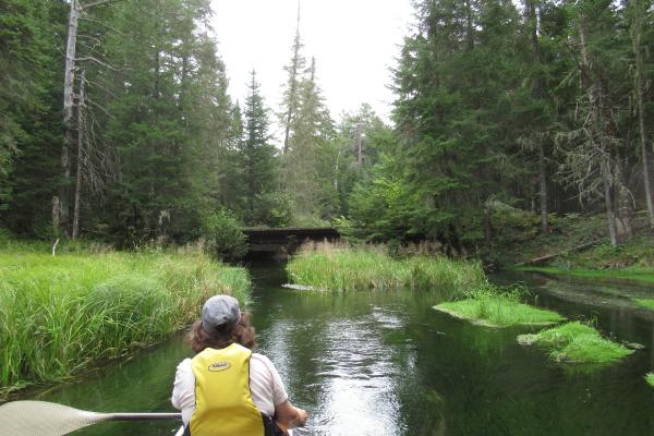canoeing on Hatchery Brook