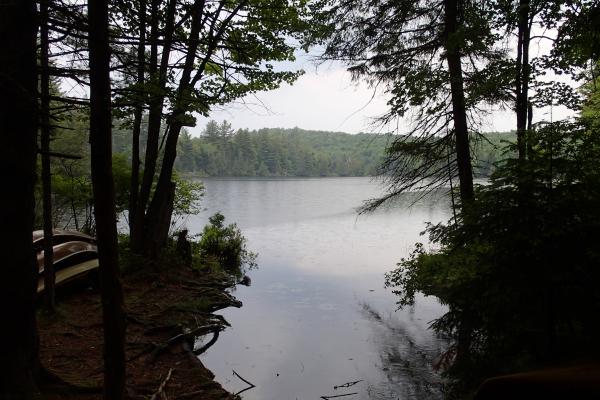 Rainy Day on Long Pond