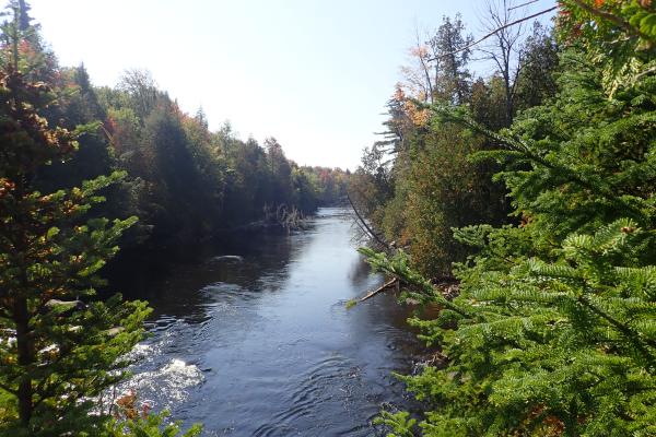 Image taken from above with Saranac River lined with trees on each side