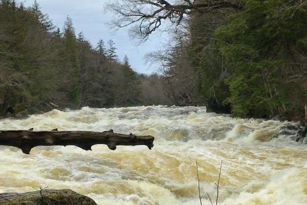 Image of water pouring down over rocks