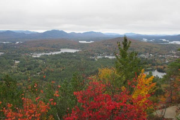 autumn view